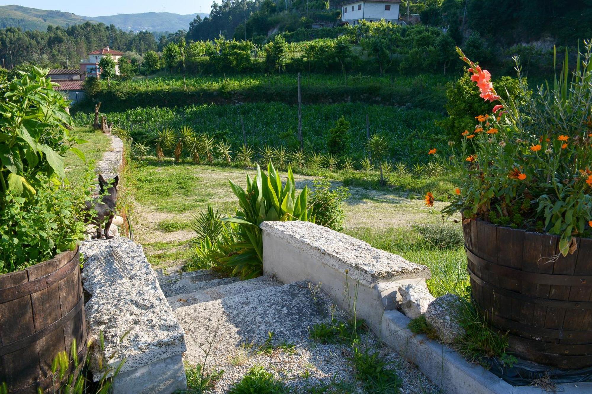 Quinta Do Bairro Villa Vieira do Minho Ngoại thất bức ảnh
